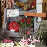 Beech Hill Farm & Ice Cream Barn Corn Mazes photo