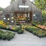 Beech Hill Farm & Ice Cream Barn Corn Mazes photo