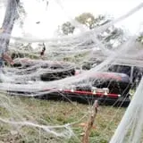 Kreep's 10th Annual Haunt photo