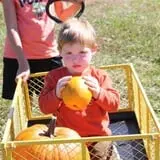 Pete's Pumpkin Patch photo