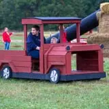 Pete's Pumpkin Patch photo