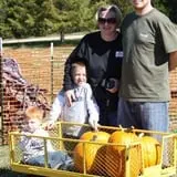Pete's Pumpkin Patch photo