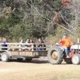 Pete's Pumpkin Patch photo