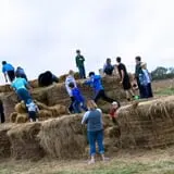 Pete's Pumpkin Patch photo