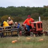 Pete's Pumpkin Patch photo