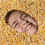 Pete's Pumpkin Patch photo