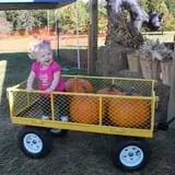 Pete's Pumpkin Patch photo