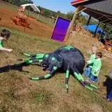 Pete's Pumpkin Patch photo