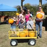 Pete's Pumpkin Patch photo