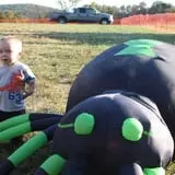 Pete's Pumpkin Patch photo