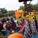 Pete's Pumpkin Patch photo