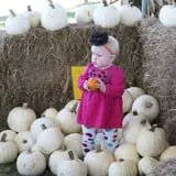 Pete's Pumpkin Patch photo