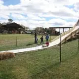 Pete's Pumpkin Patch photo