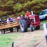 Pete's Pumpkin Patch photo