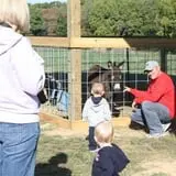 Pete's Pumpkin Patch photo