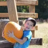Pete's Pumpkin Patch photo
