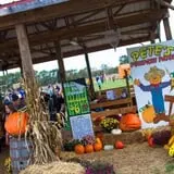 Pete's Pumpkin Patch photo