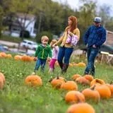 Pete's Pumpkin Patch photo