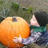 Pete's Pumpkin Patch photo