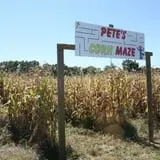 Pete's Pumpkin Patch photo