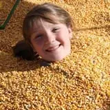Pete's Pumpkin Patch photo