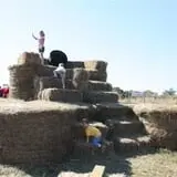 Pete's Pumpkin Patch photo