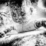 Haunted Trails @ Old Car City, USA photo