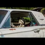 Haunted Trails @ Old Car City, USA