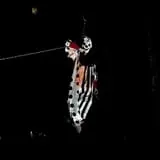 Haunted Trails @ Old Car City, USA photo
