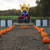 March Farm Corn Maze photo