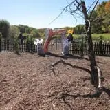 March Farm Corn Maze photo
