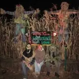 March Farm Corn Maze photo