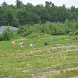Lanni Orchards photo