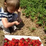 Lanni Orchards photo