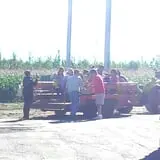 Lanni Orchards photo