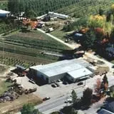Lanni Orchards photo
