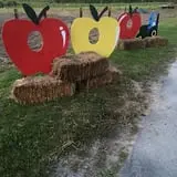 Lanni Orchards photo