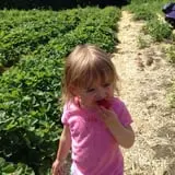 Lanni Orchards photo