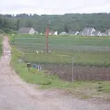 Lanni Orchards photo