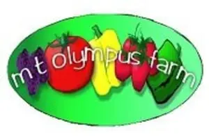 Mt. Olympus Farm PYO Pumpkins