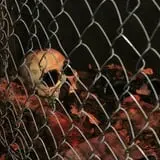 House of Horrors New Jersey - Face Your Nightmares photo