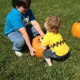 Shady Lane Farm Pumpkin Patch photo