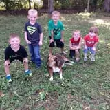 Shady Lane Farm Pumpkin Patch photo