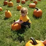 Shady Lane Farm Pumpkin Patch photo