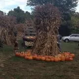 Shady Lane Farm Pumpkin Patch photo