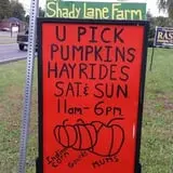 Shady Lane Farm Pumpkin Patch photo