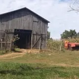 Shady Lane Farm Pumpkin Patch photo