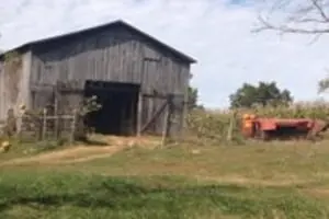 Shady Lane Farm Pumpkin Patch
