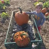 Cherry Rock Farms photo