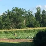 Cherry Rock Farms photo